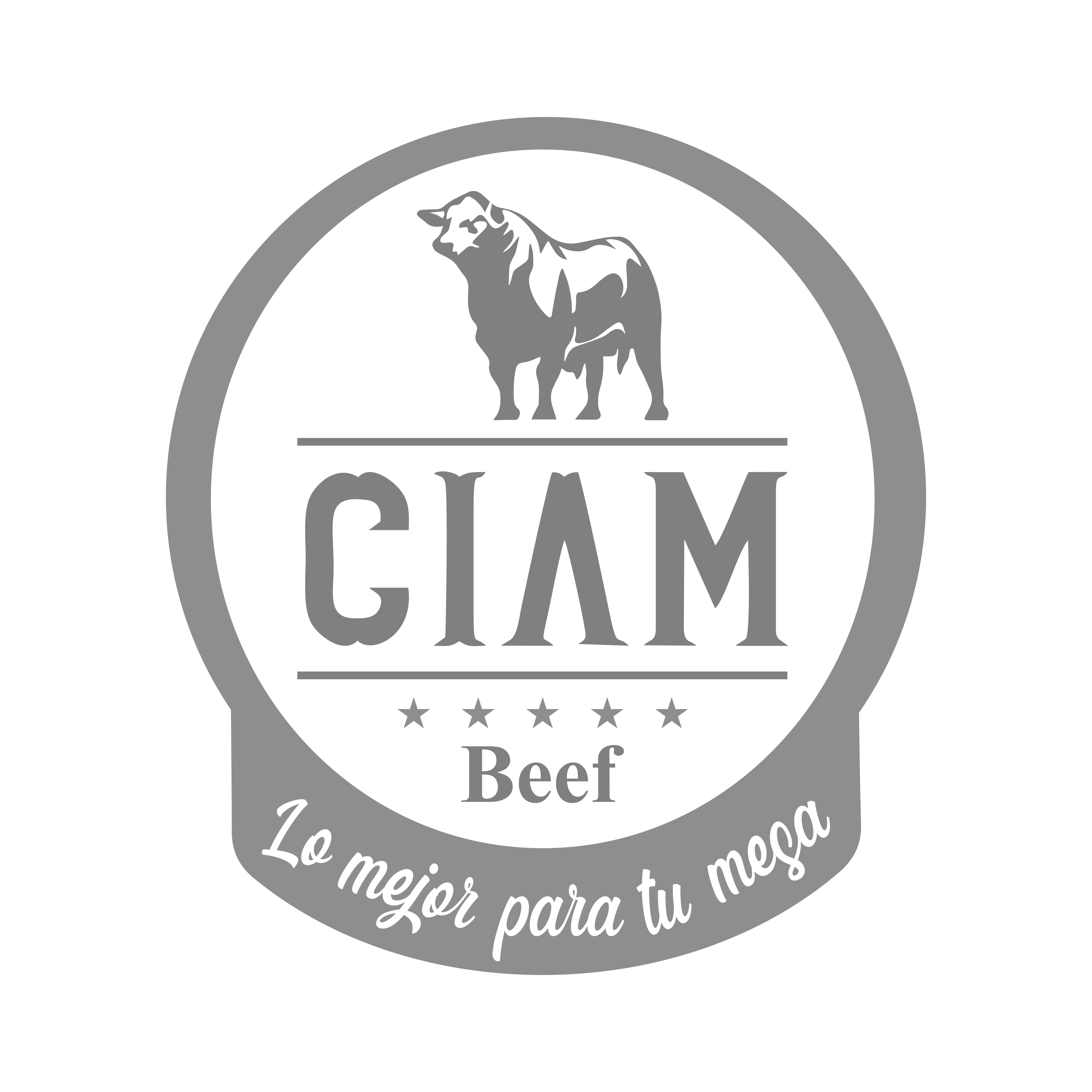 Logo ciam beff